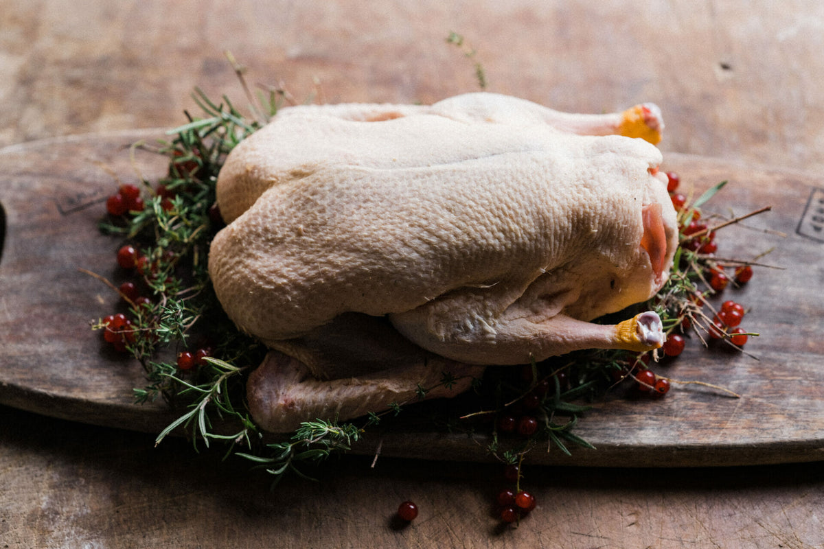 Free Range Whole Ducks