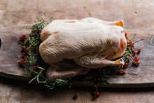 Free Range Whole Ducks